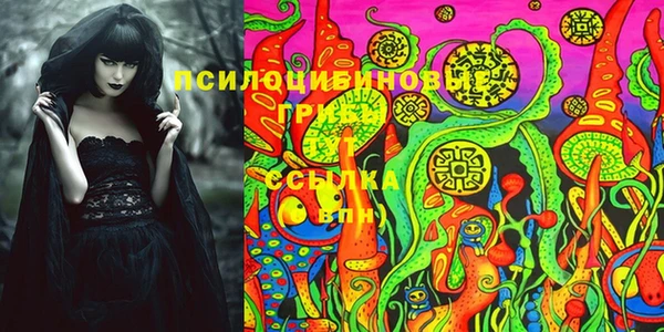 гидра Алзамай