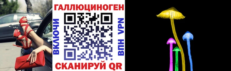 Галлюциногенные грибы Psilocybine cubensis  ссылка на мегу зеркало  Циолковский 